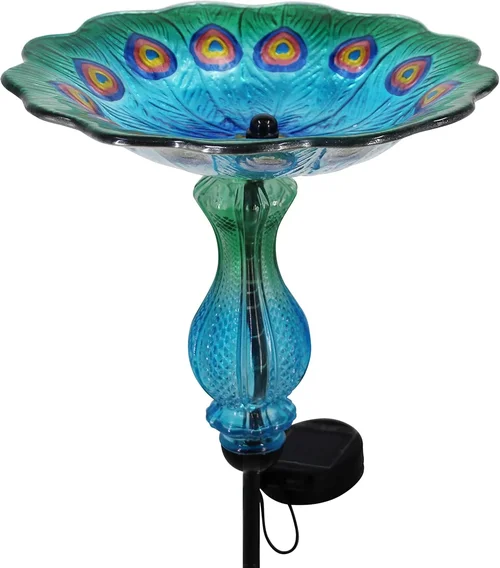 Best Solar Bird Water Dish Buying Guide