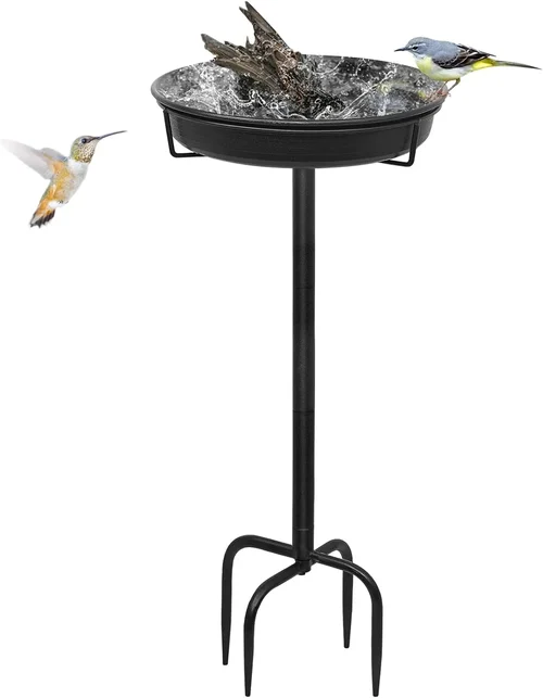 Smart Solar Water Bird Bath Buying Guide