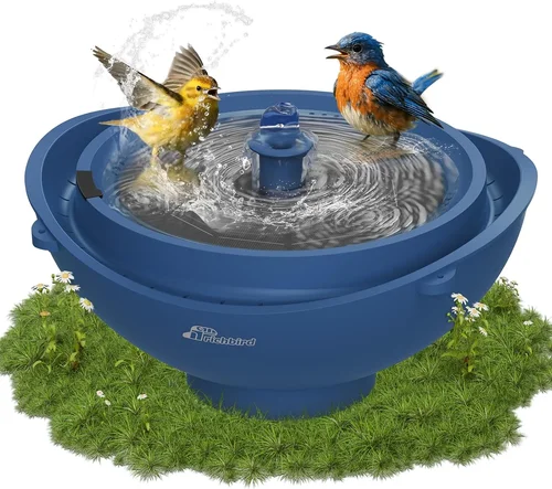 Solar Powered Bird Bath Water Heater Buyer's Guide