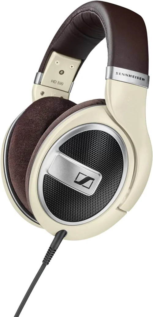 Best Audiophile Headphones for Bass Purchase Guide